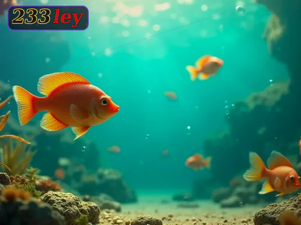 ကစားမှုမှတ်တမ်း ပုံ ၁